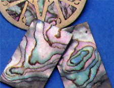 Abalone