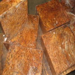 Eucalyptus Resin Vein