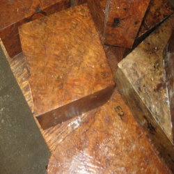 Eucalyptus Bowl Turning Stock