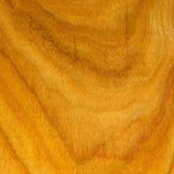 Canarywood