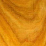 Canarywood