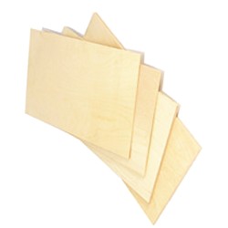 Maple Plywood