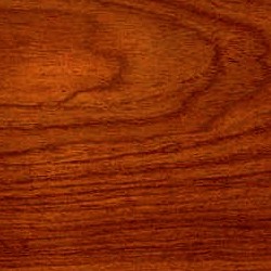rosewood lumber honduras friend email constantines