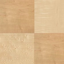 Veneer Pack