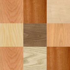 Veneer Pack