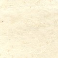 Imitation Veneer