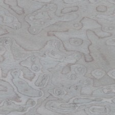 Imitation Veneer