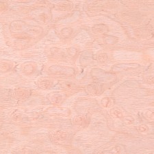 Imitation Veneer