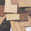 Veneer Samples