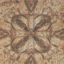 veneer face