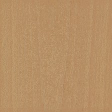 Beech