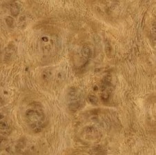 Oak Burl