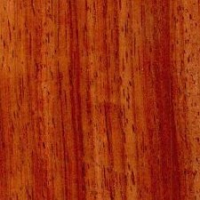 Padauk