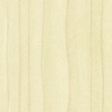 Poplar Crossbanding