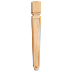 Leg